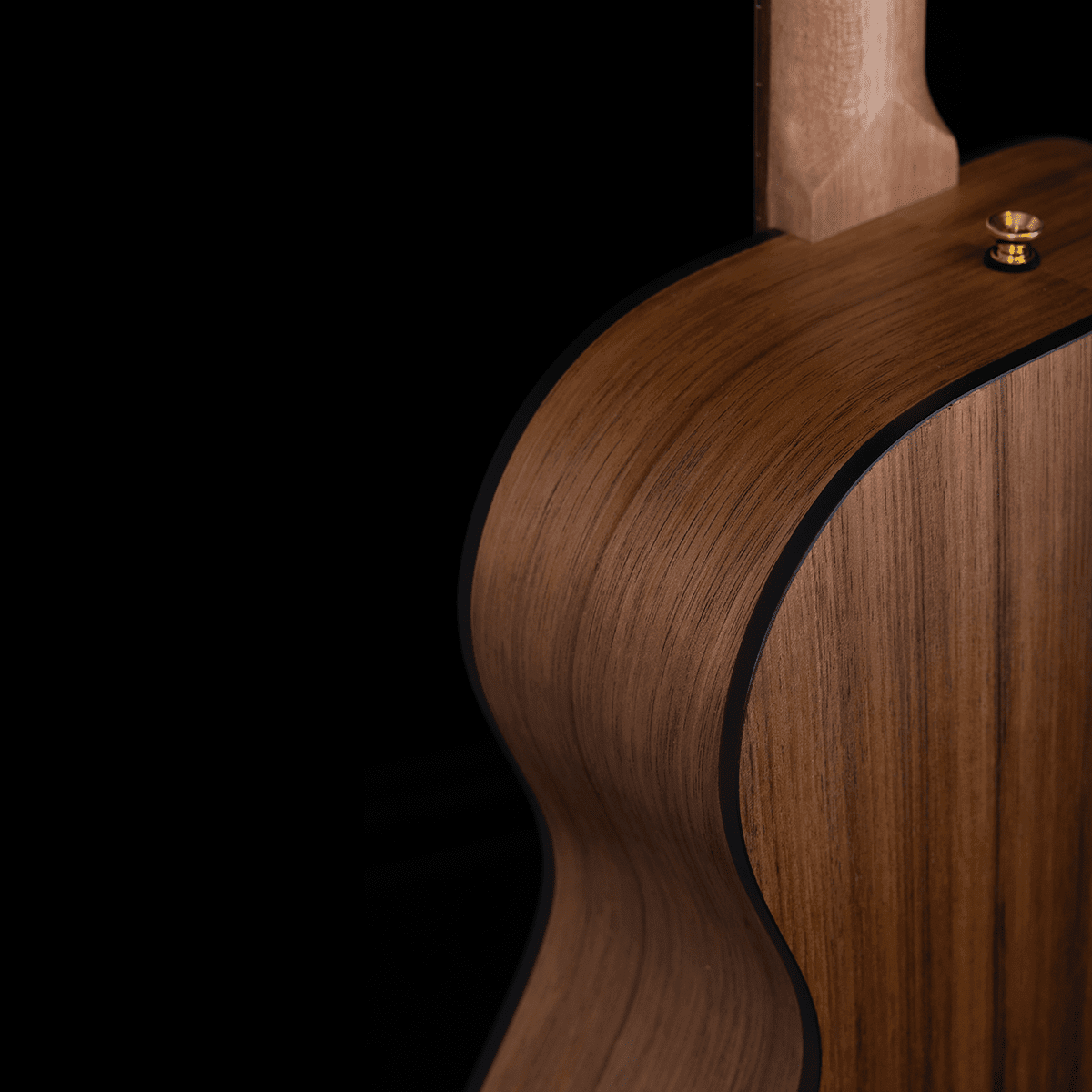 Acoustic/Electric Guitars Pratley Guitars GIG Guitars