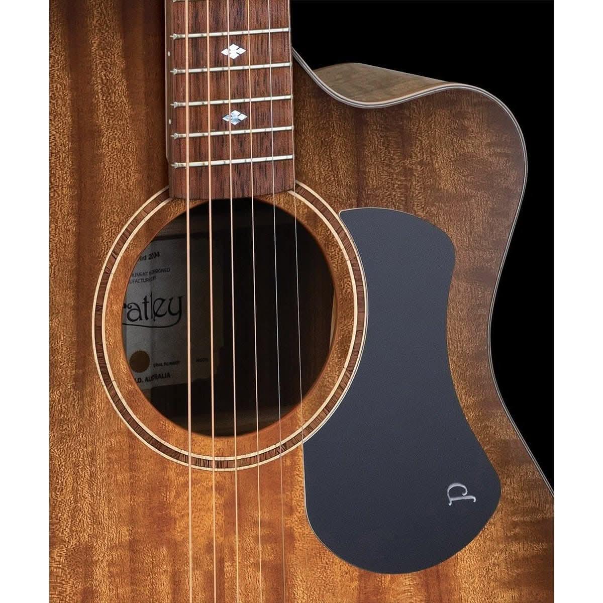 Acoustic/Electric Guitars Pratley Guitars GIG Guitars