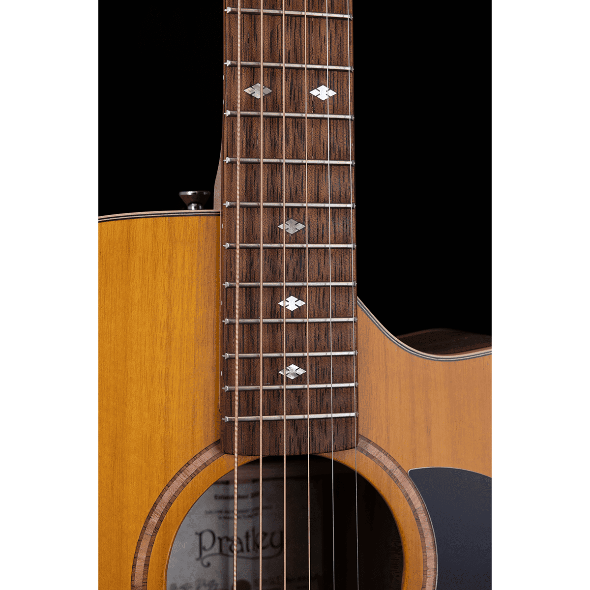 Acoustic/Electric Guitars Pratley Guitars GIG Guitars