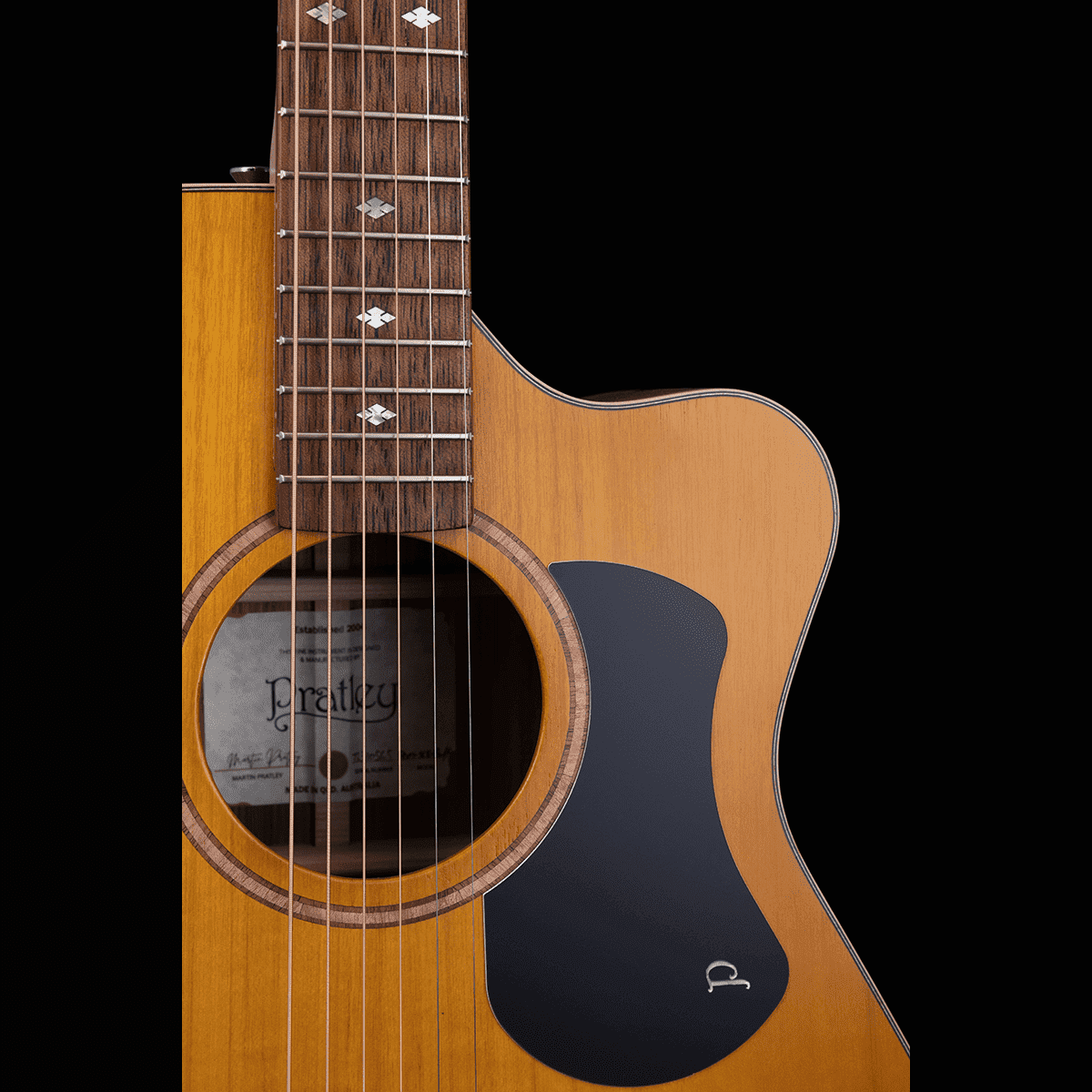 Acoustic/Electric Guitars Pratley Guitars GIG Guitars