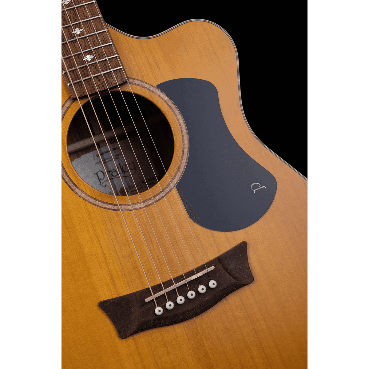 Acoustic/Electric Guitars Pratley Guitars GIG Guitars