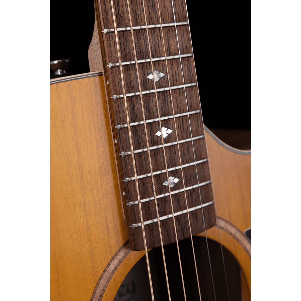 Acoustic/Electric Guitars Pratley Guitars GIG Guitars