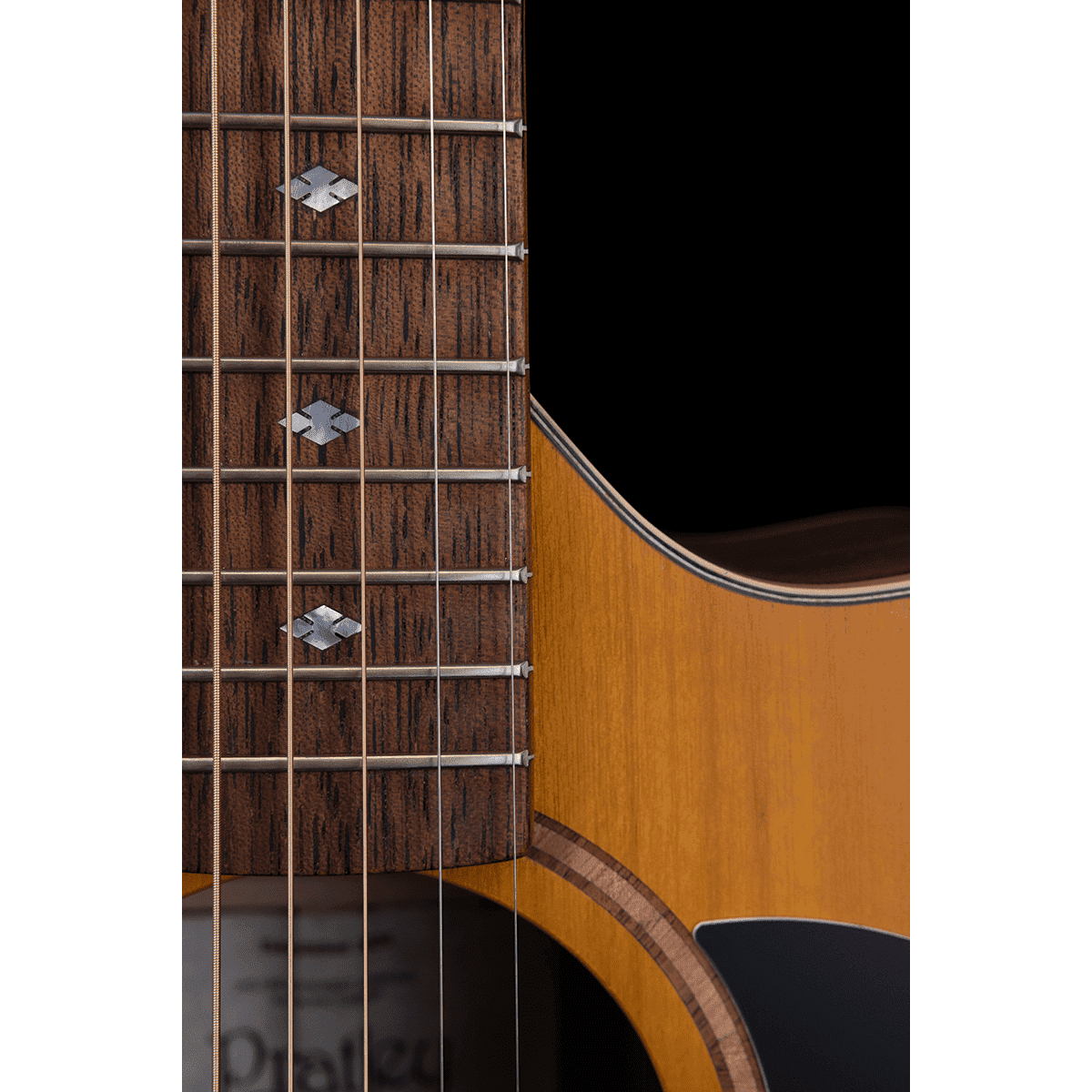 Acoustic/Electric Guitars Pratley Guitars GIG Guitars