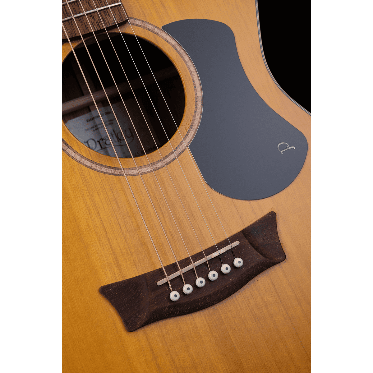 Acoustic/Electric Guitars Pratley Guitars GIG Guitars