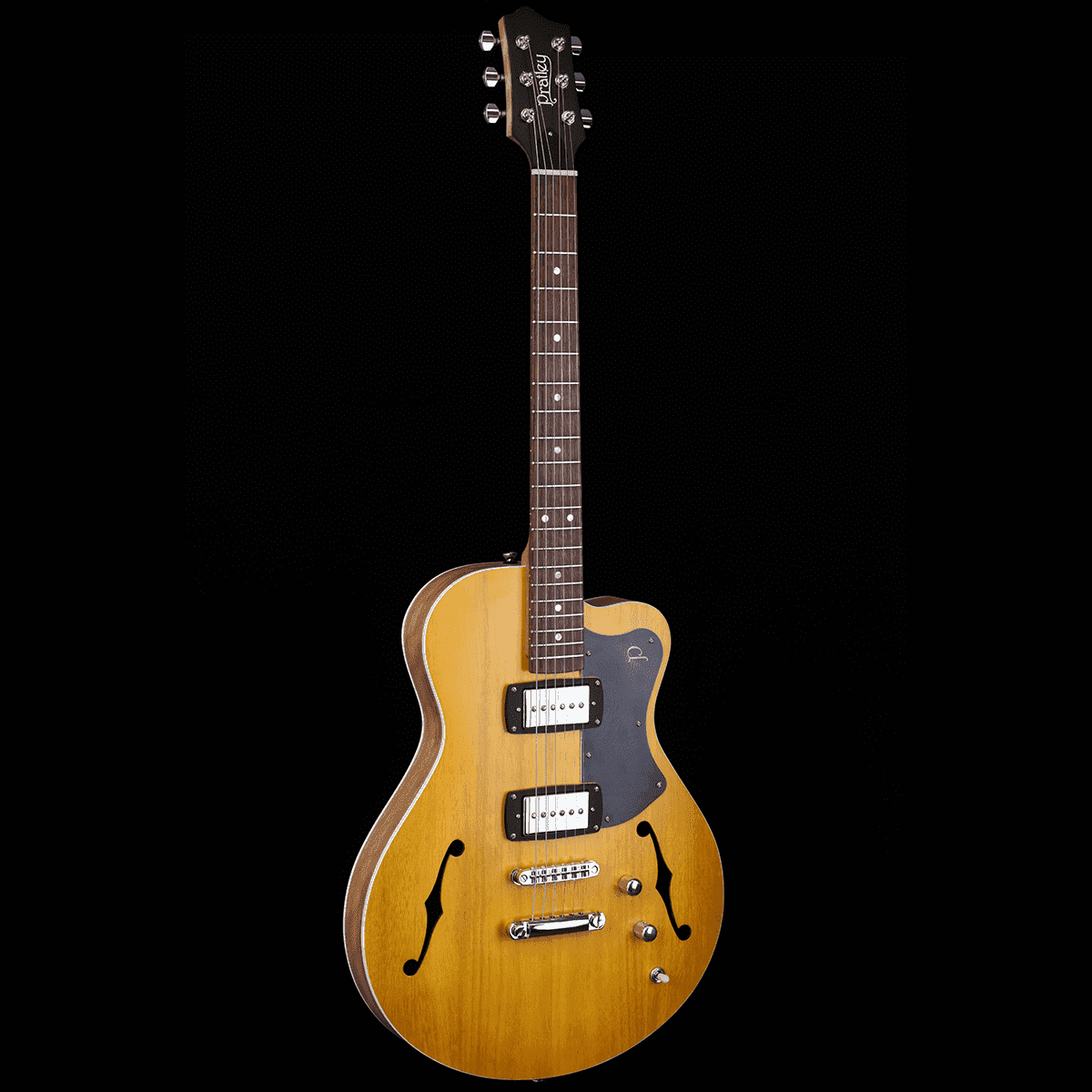 Semi-Hollow Guitars Pratley Guitars GIG Guitars