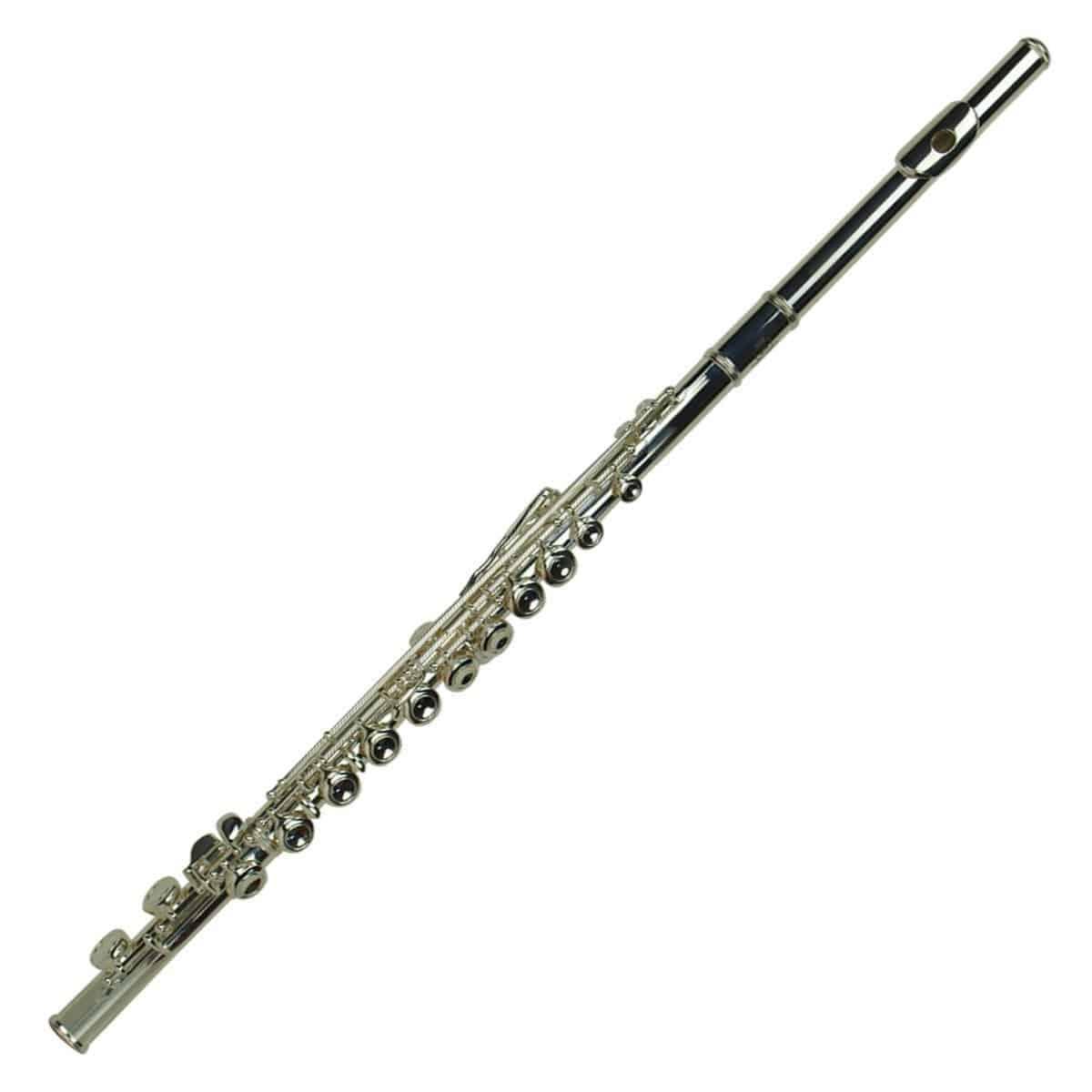 Flutes Steinhoff GIG Guitars