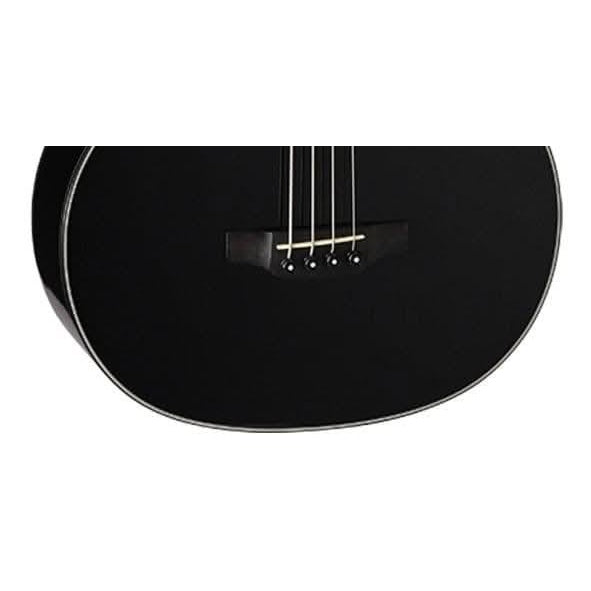 Acoustic/Electric Bass Guitars Takamine GIG Guitars