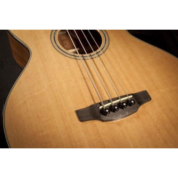 Acoustic/Electric Bass Guitars Takamine GIG Guitars
