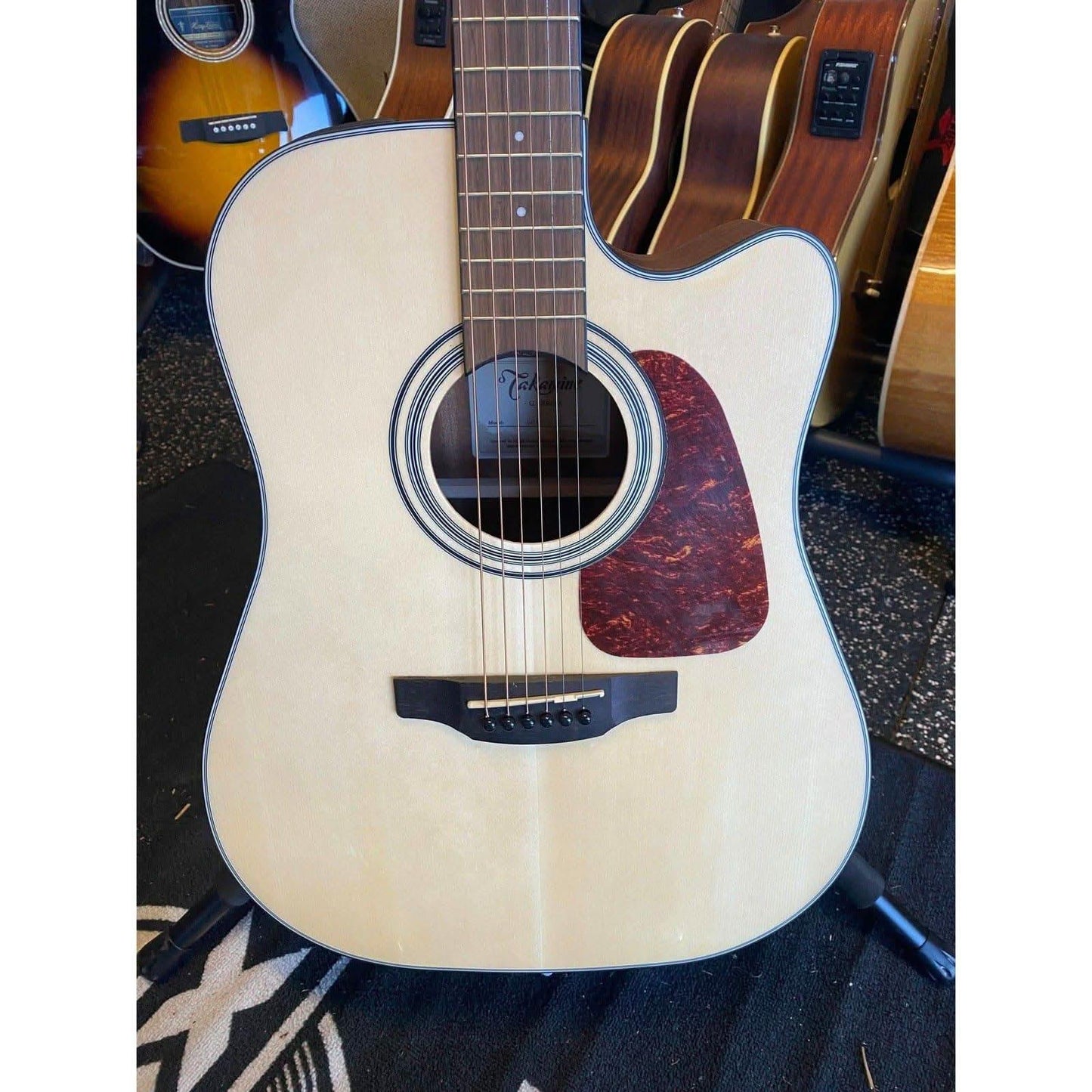 Acoustic/Electric Guitars Takamine GIG Guitars