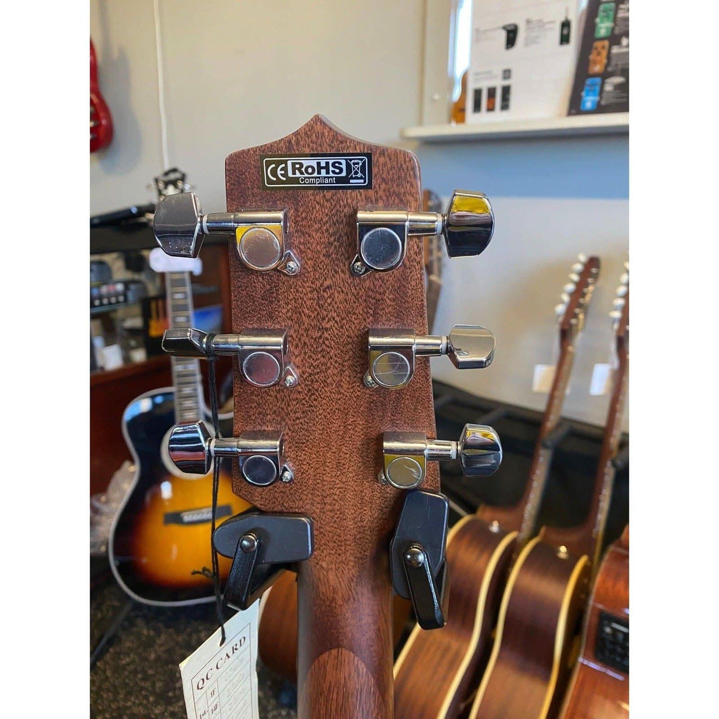 Acoustic/Electric Guitars Takamine GIG Guitars