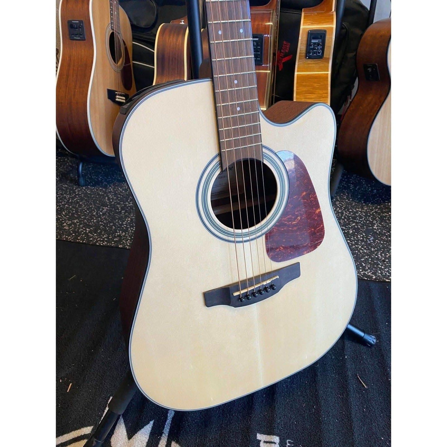 Acoustic/Electric Guitars Takamine GIG Guitars
