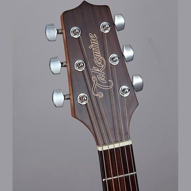 Acoustic/Electric Guitars Takamine GIG Guitars
