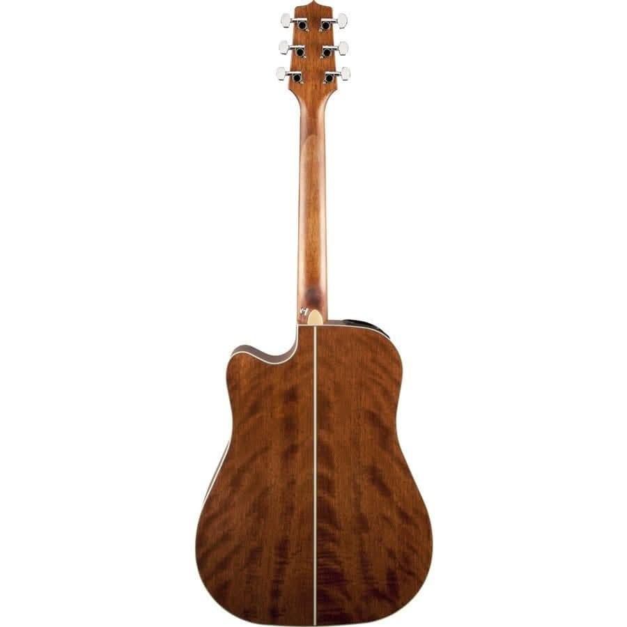 Acoustic/Electric Guitars Takamine GIG Guitars