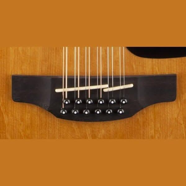 Acoustic/Electric Guitars Takamine GIG Guitars