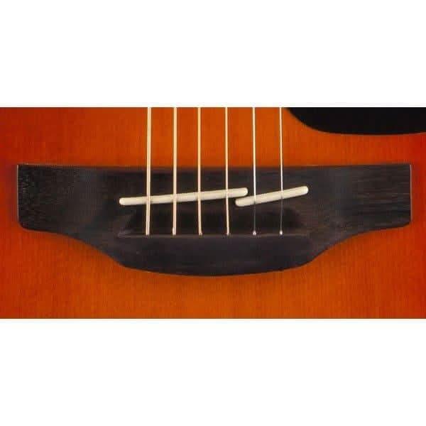 Acoustic/Electric Guitars Takamine GIG Guitars