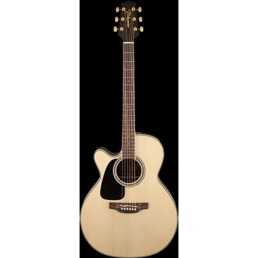 Acoustic/Electric Guitars Takamine GIG Guitars