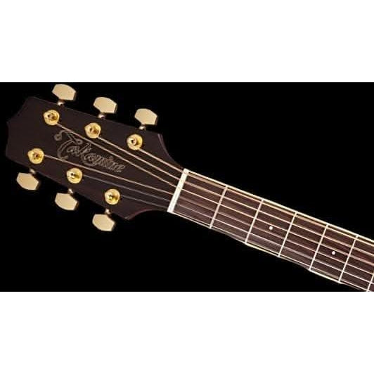 Acoustic/Electric Guitars Takamine GIG Guitars
