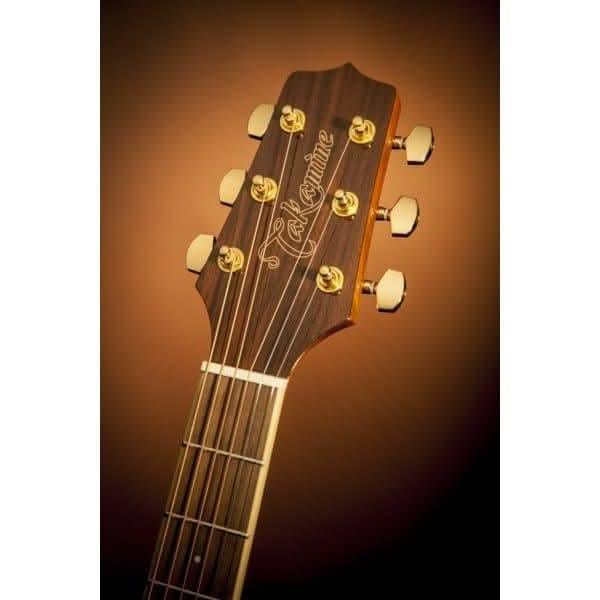 Acoustic/Electric Guitars Takamine GIG Guitars