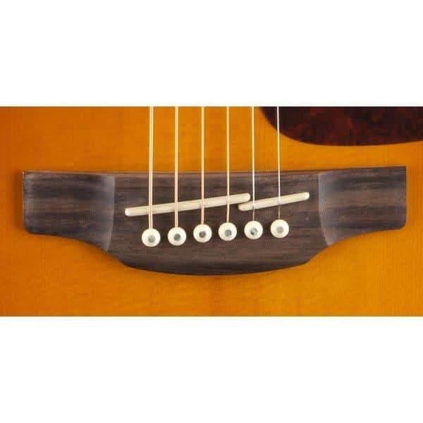 Acoustic/Electric Guitars Takamine GIG Guitars