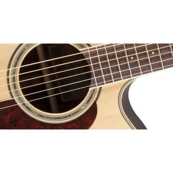 Acoustic/Electric Guitars Takamine GIG Guitars