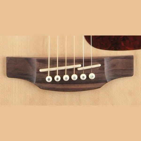Acoustic/Electric Guitars Takamine GIG Guitars