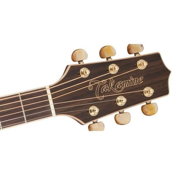 Acoustic/Electric Guitars Takamine GIG Guitars
