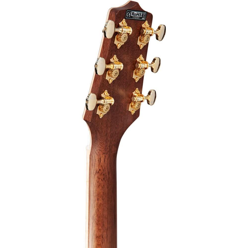 Acoustic/Electric Guitars Takamine GIG Guitars