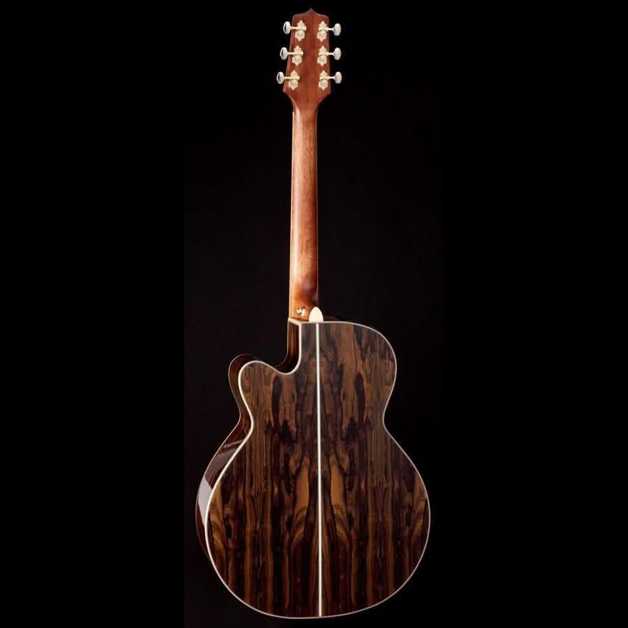 Acoustic/Electric Guitars Takamine GIG Guitars