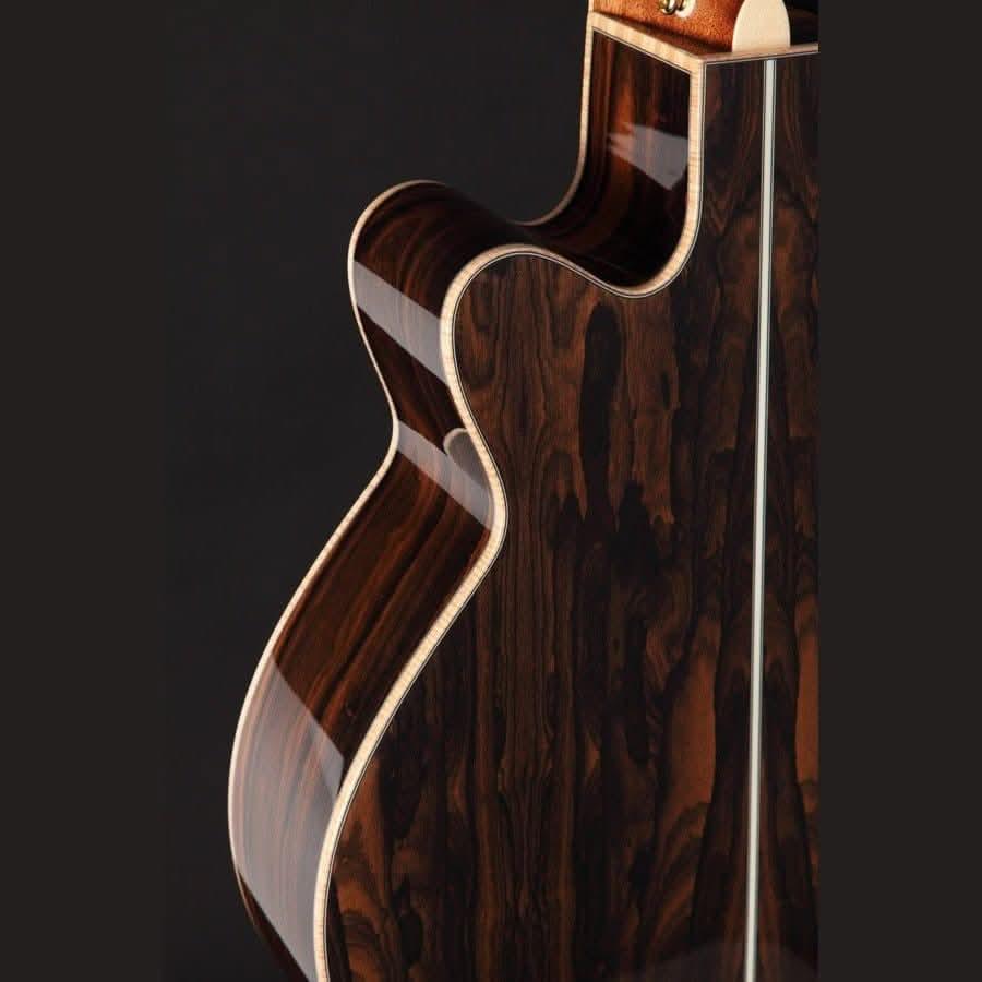 Acoustic/Electric Guitars Takamine GIG Guitars