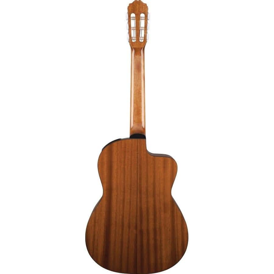 Acoustic/Electric Guitars Takamine GIG Guitars