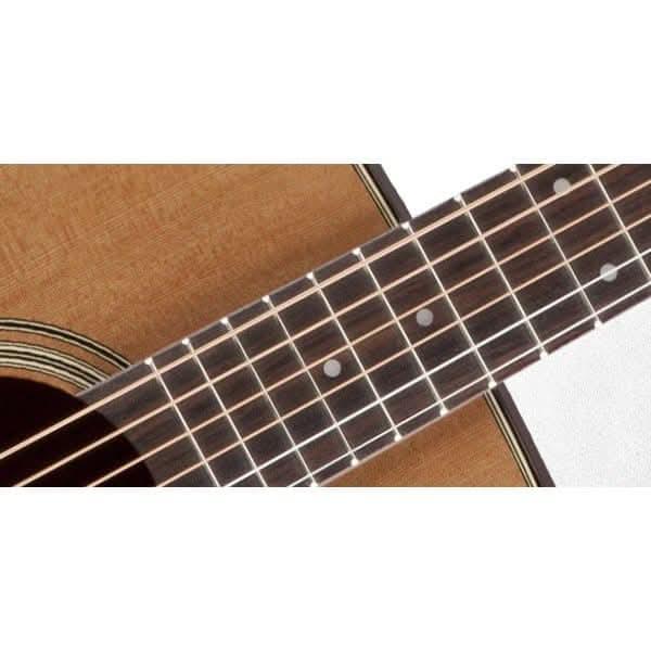 Acoustic/Electric Guitars Takamine GIG Guitars