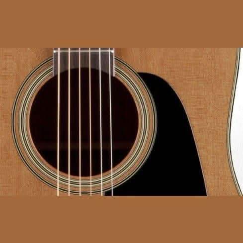Acoustic/Electric Guitars Takamine GIG Guitars