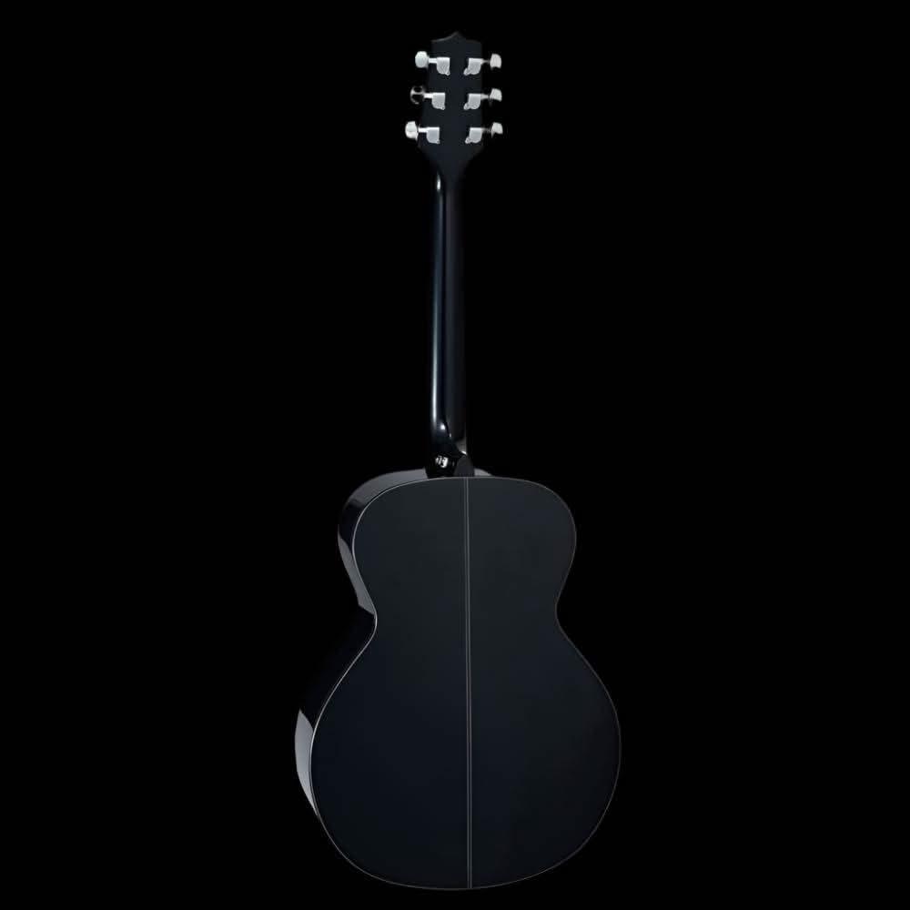Acoustic Guitars Takamine GIG Guitars