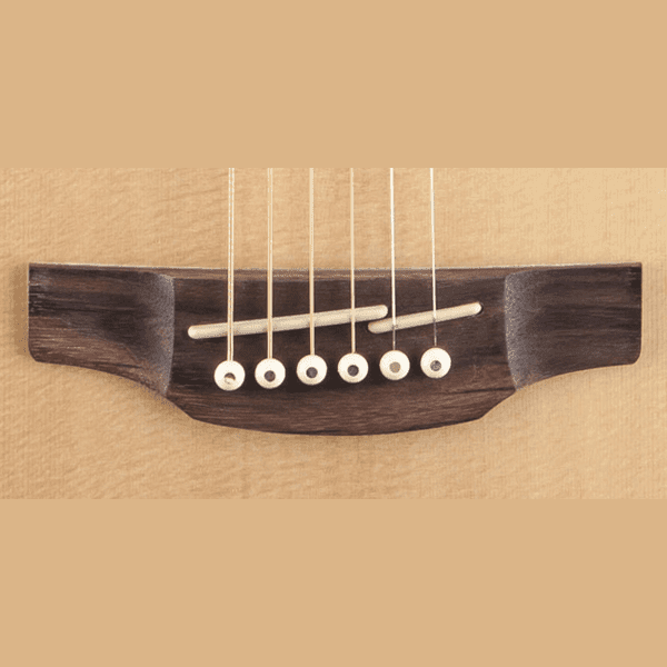 Acoustic Guitars Takamine GIG Guitars