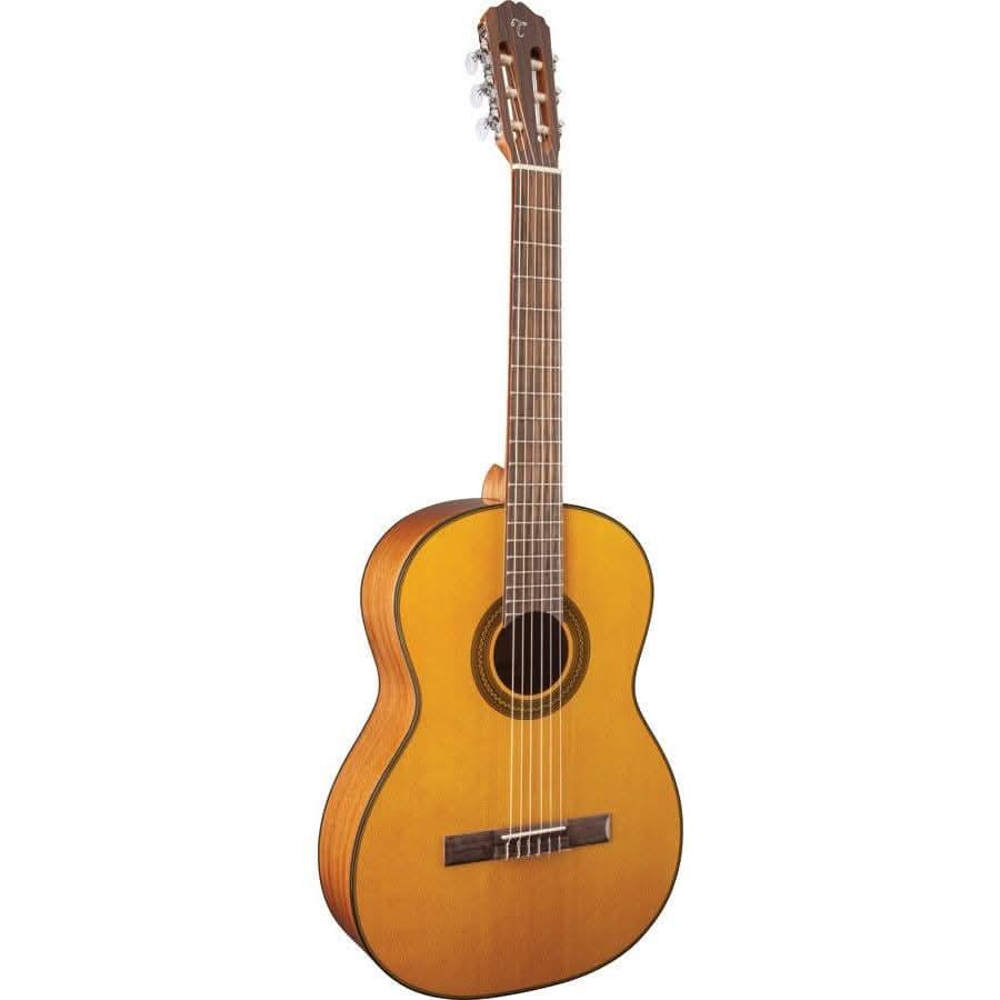Classical Guitar Takamine GIG Guitars