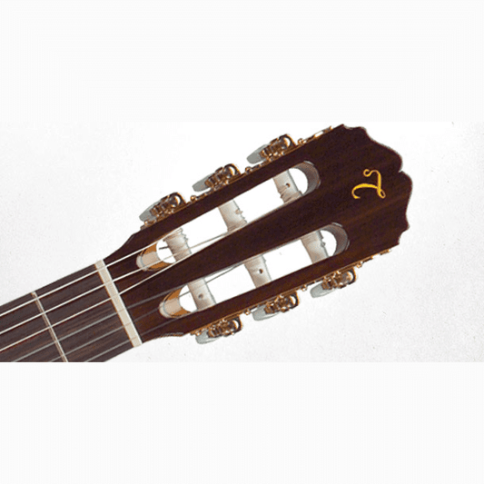 Takamine Pro Series Full Size Classical Guitar in Natural Gloss Finish Takamine Classical Guitar