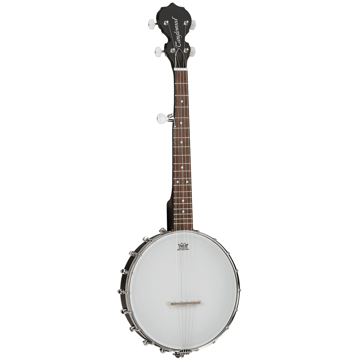 Tanglewood TWBT Traveller Banjo 5 String Tanglewood Folk Banjo