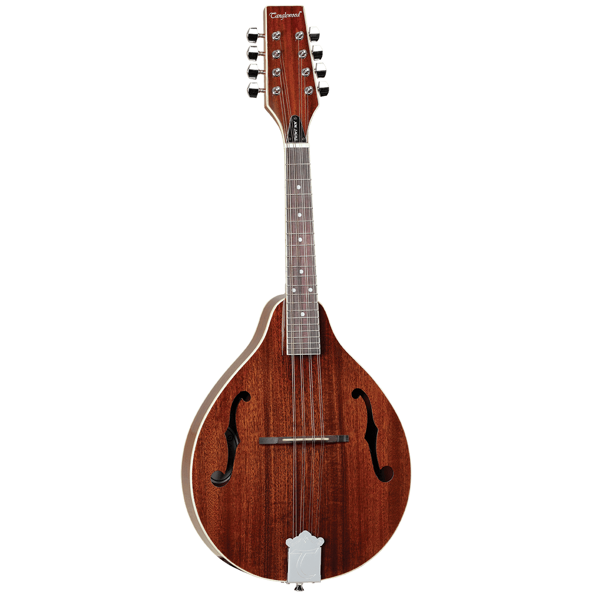 Mandolin Tanglewood Folk GIG Guitars