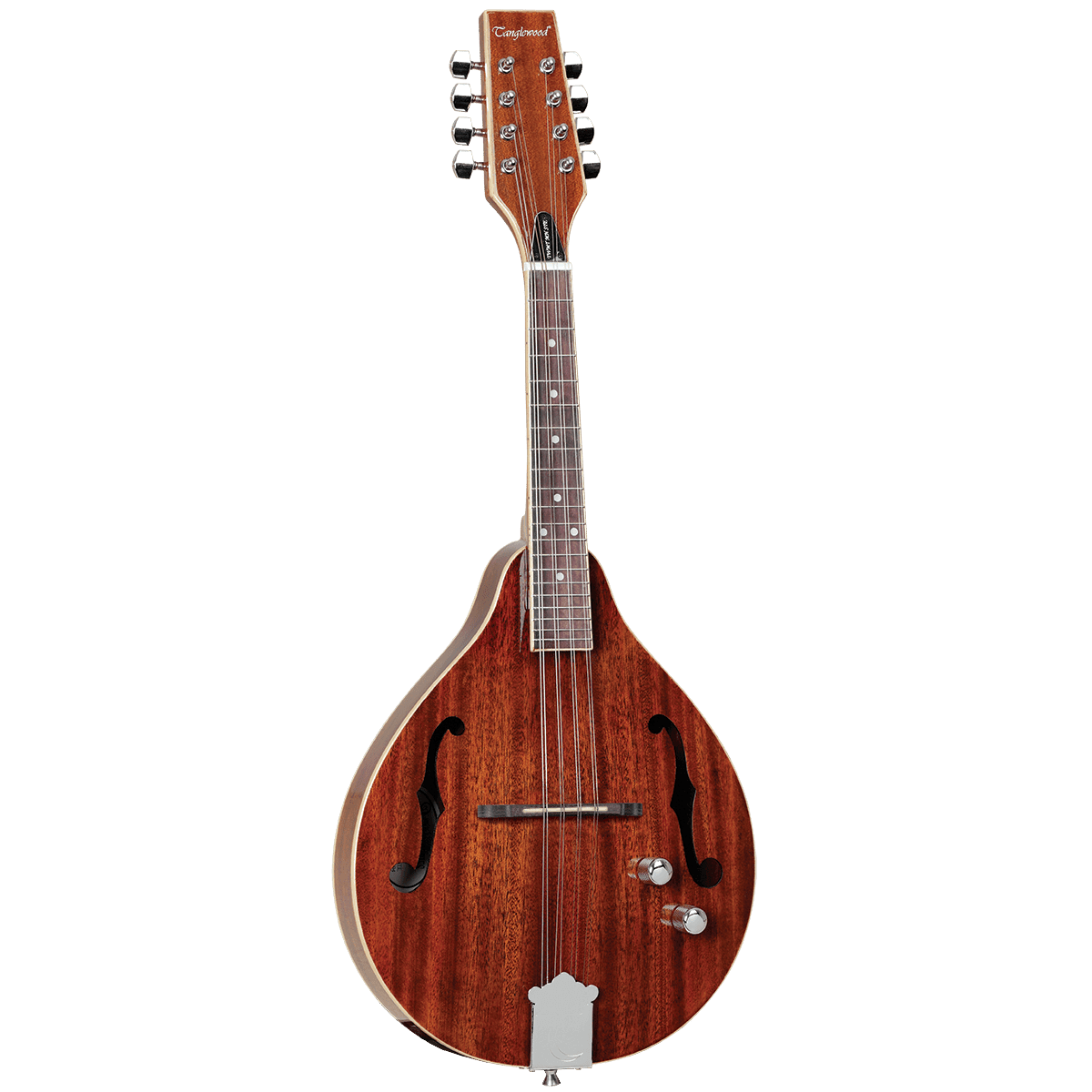 Mandolin Tanglewood Folk GIG Guitars