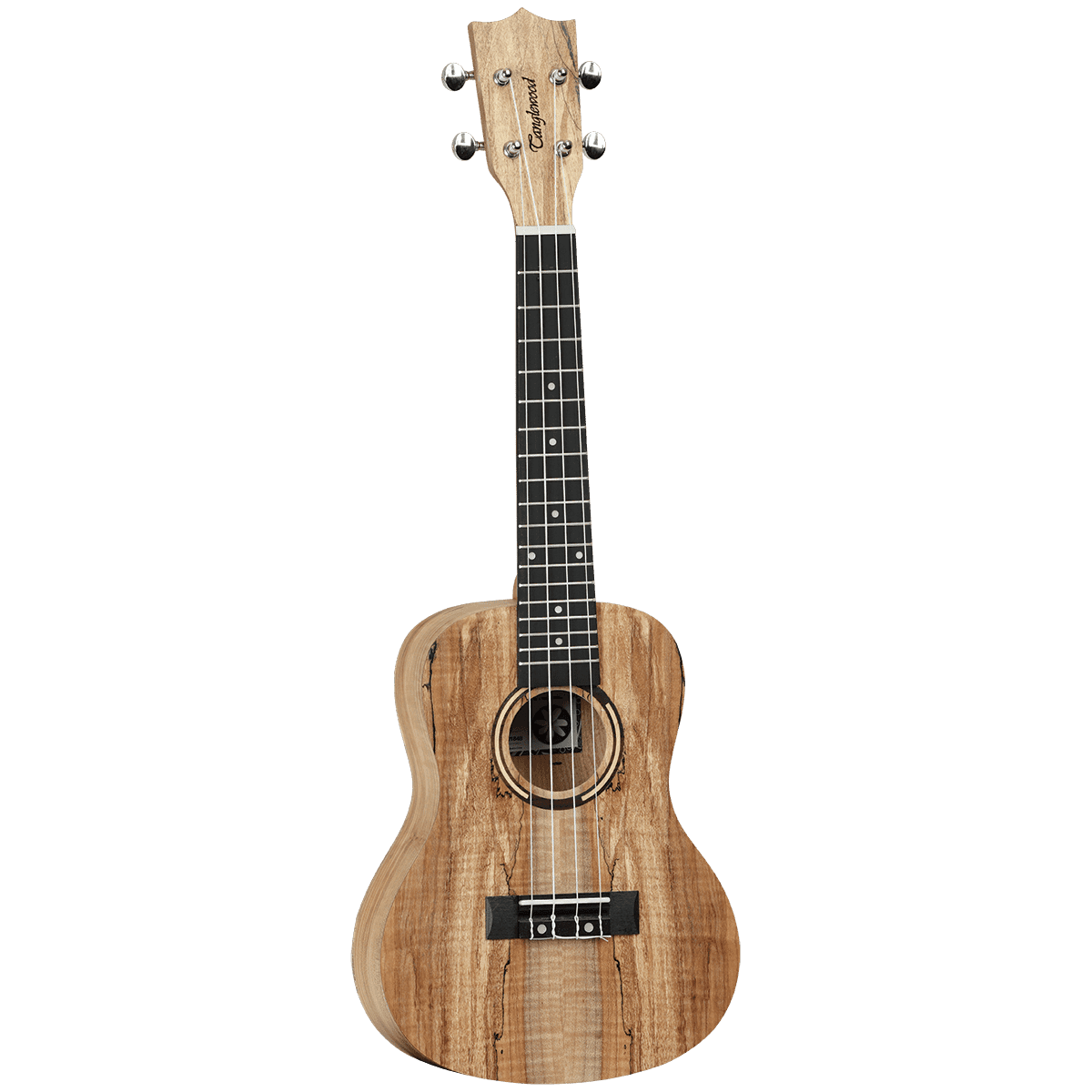 Ukulele Tanglewood Folk GIG Guitars