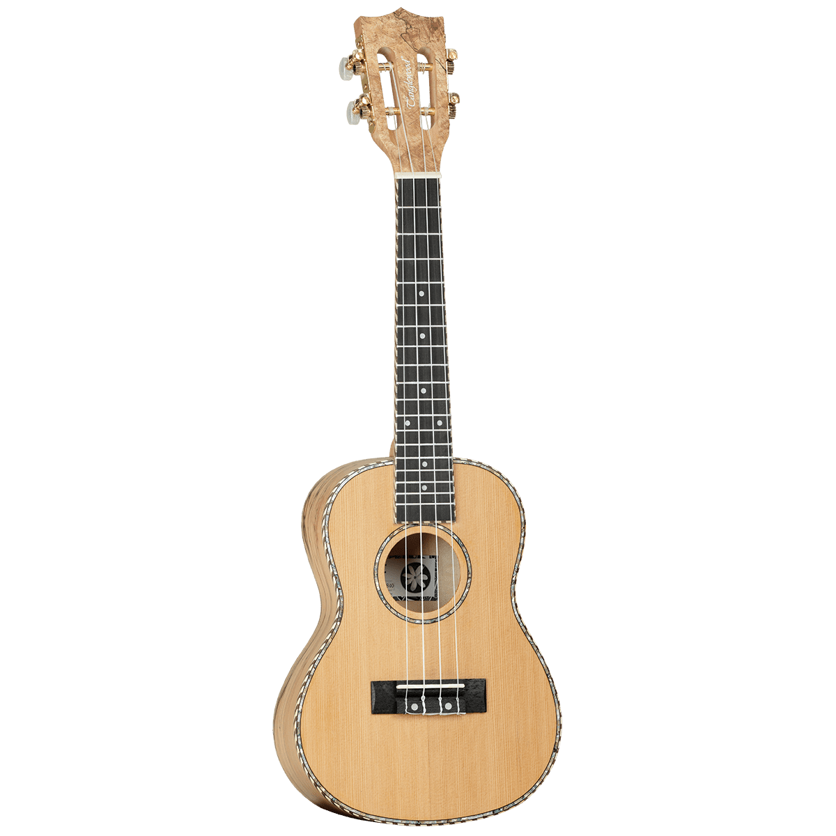 Ukulele Tanglewood Folk GIG Guitars