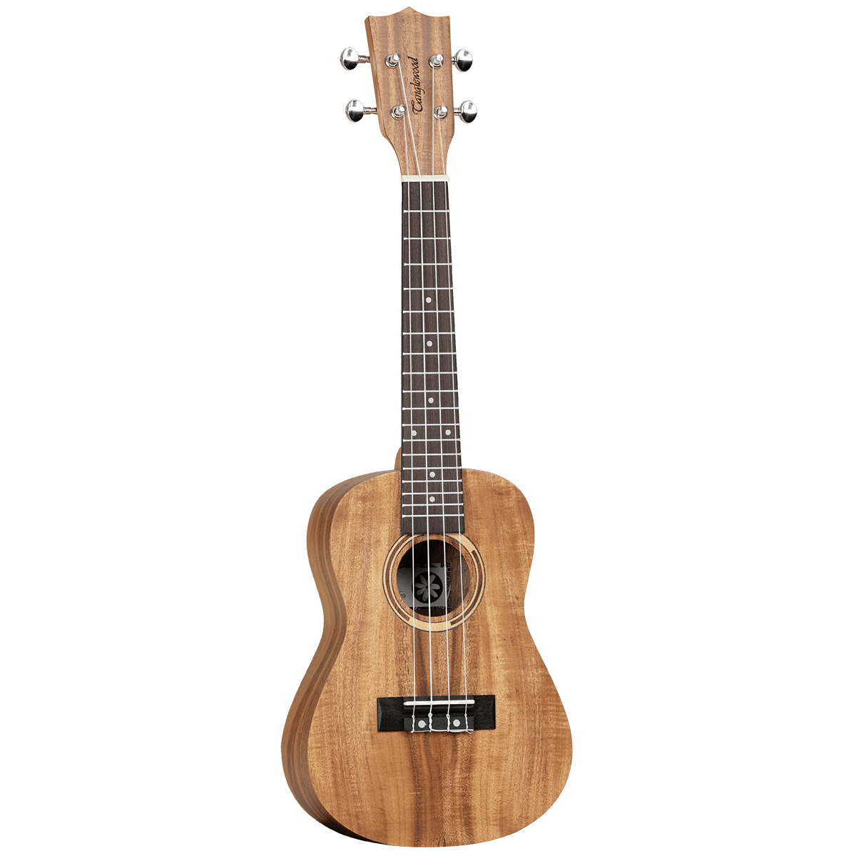 Ukulele Tanglewood Folk GIG Guitars