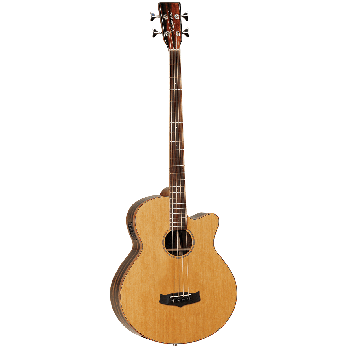 Acoustic/Electric Bass Guitars Tanglewood Guitars GIG Guitars