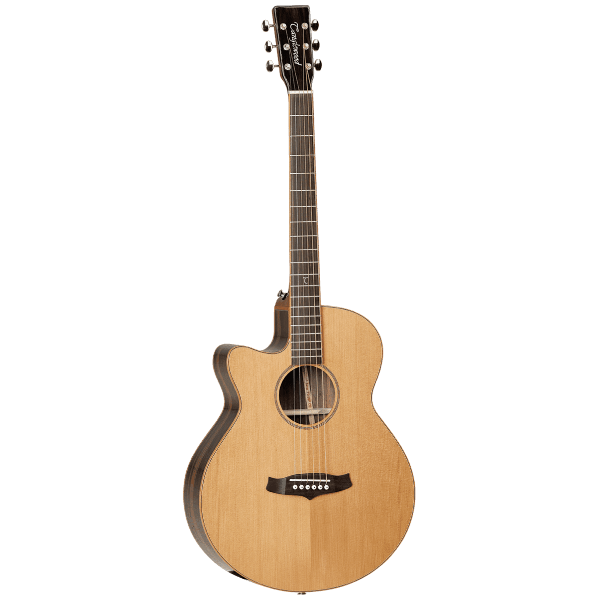 Acoustic/Electric Guitars Tanglewood Guitars GIG Guitars