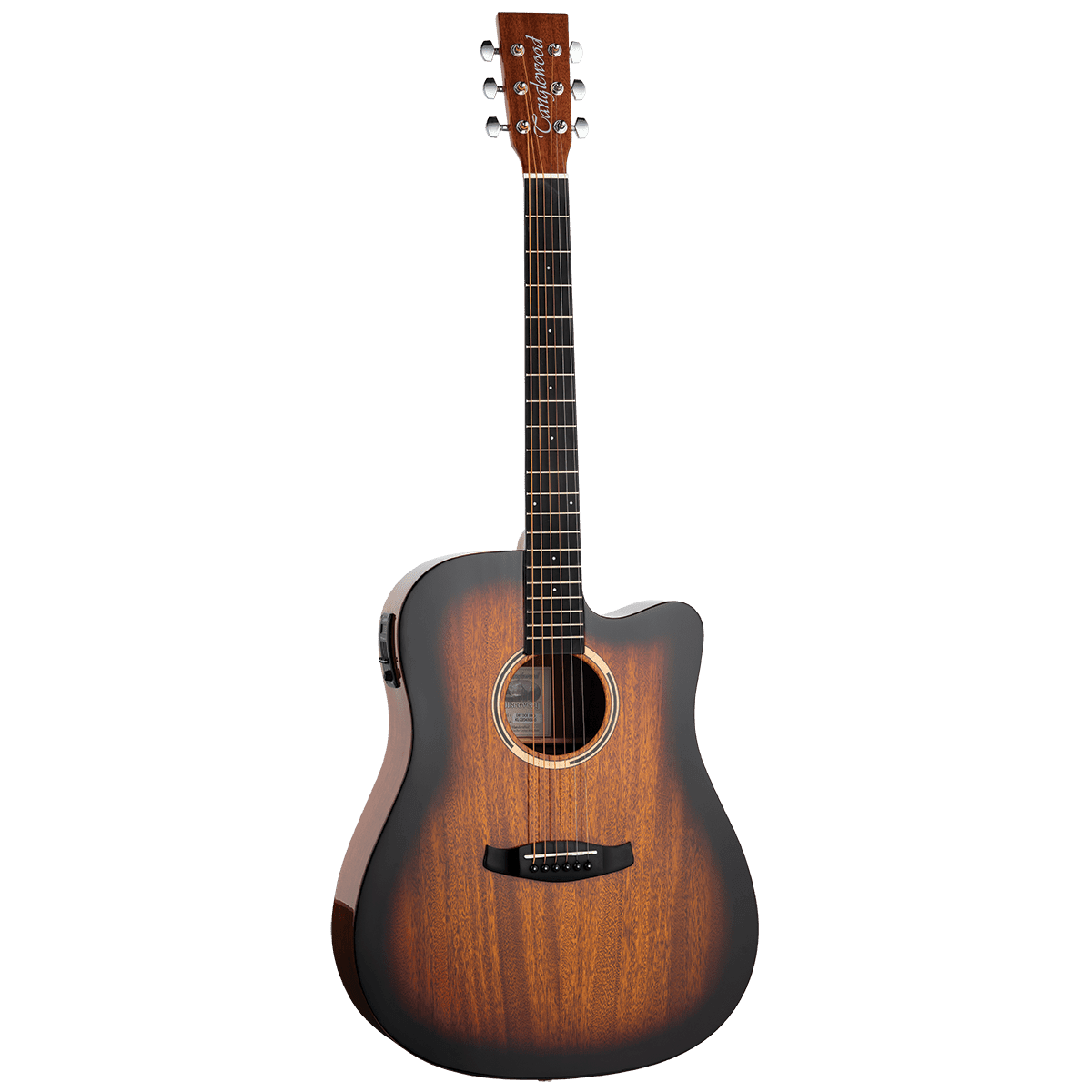 Acoustic/Electric Guitars Tanglewood Guitars GIG Guitars