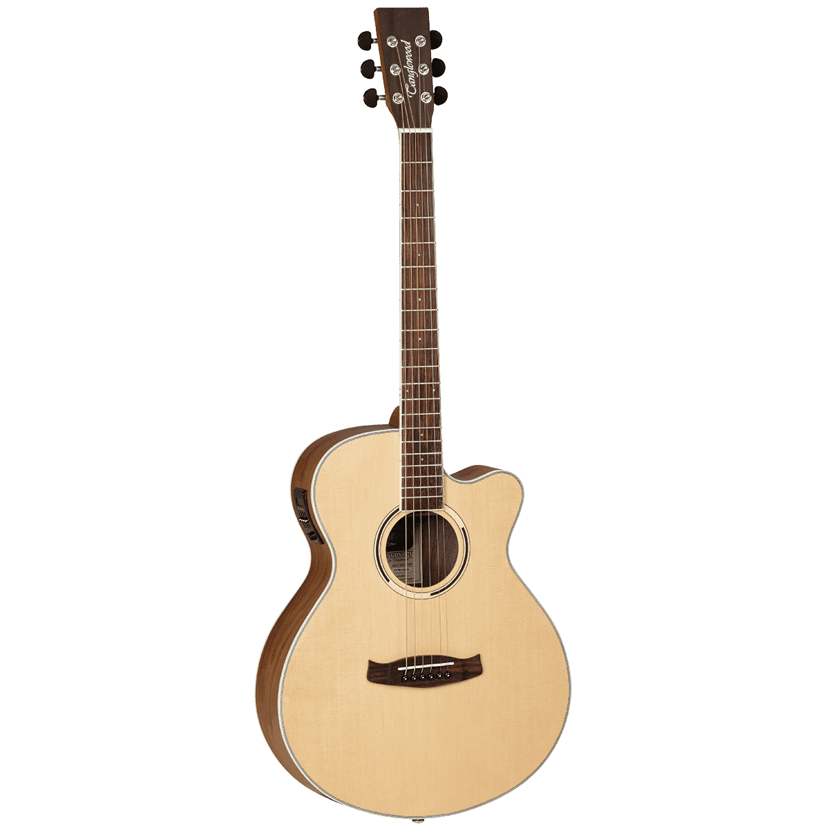 Acoustic/Electric Guitars Tanglewood Guitars GIG Guitars