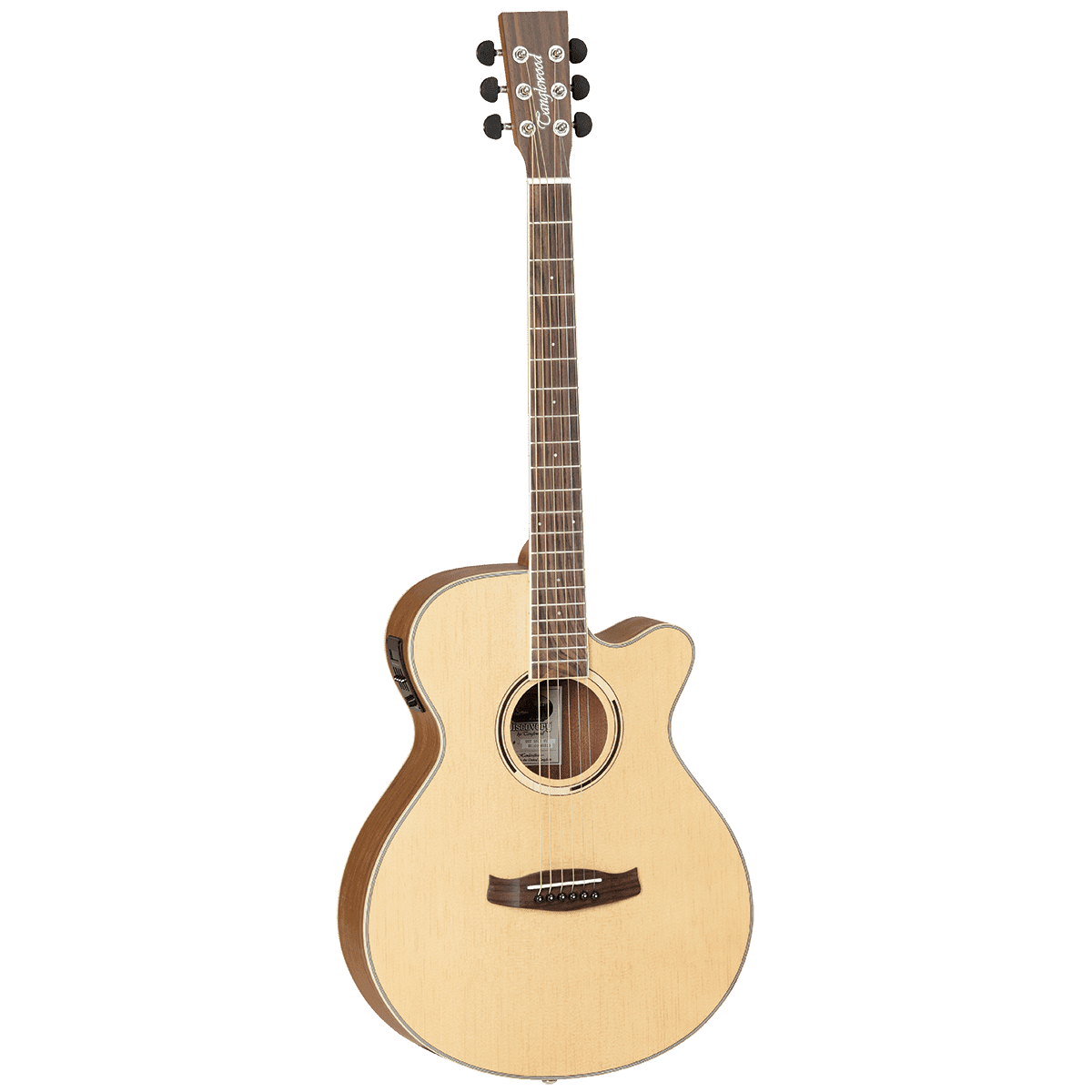 Acoustic/Electric Guitars Tanglewood Guitars GIG Guitars