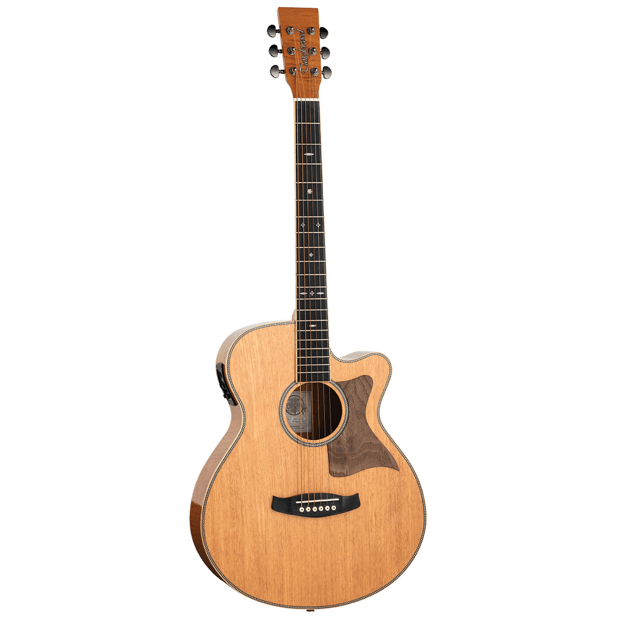 Acoustic/Electric Guitars Tanglewood Guitars GIG Guitars