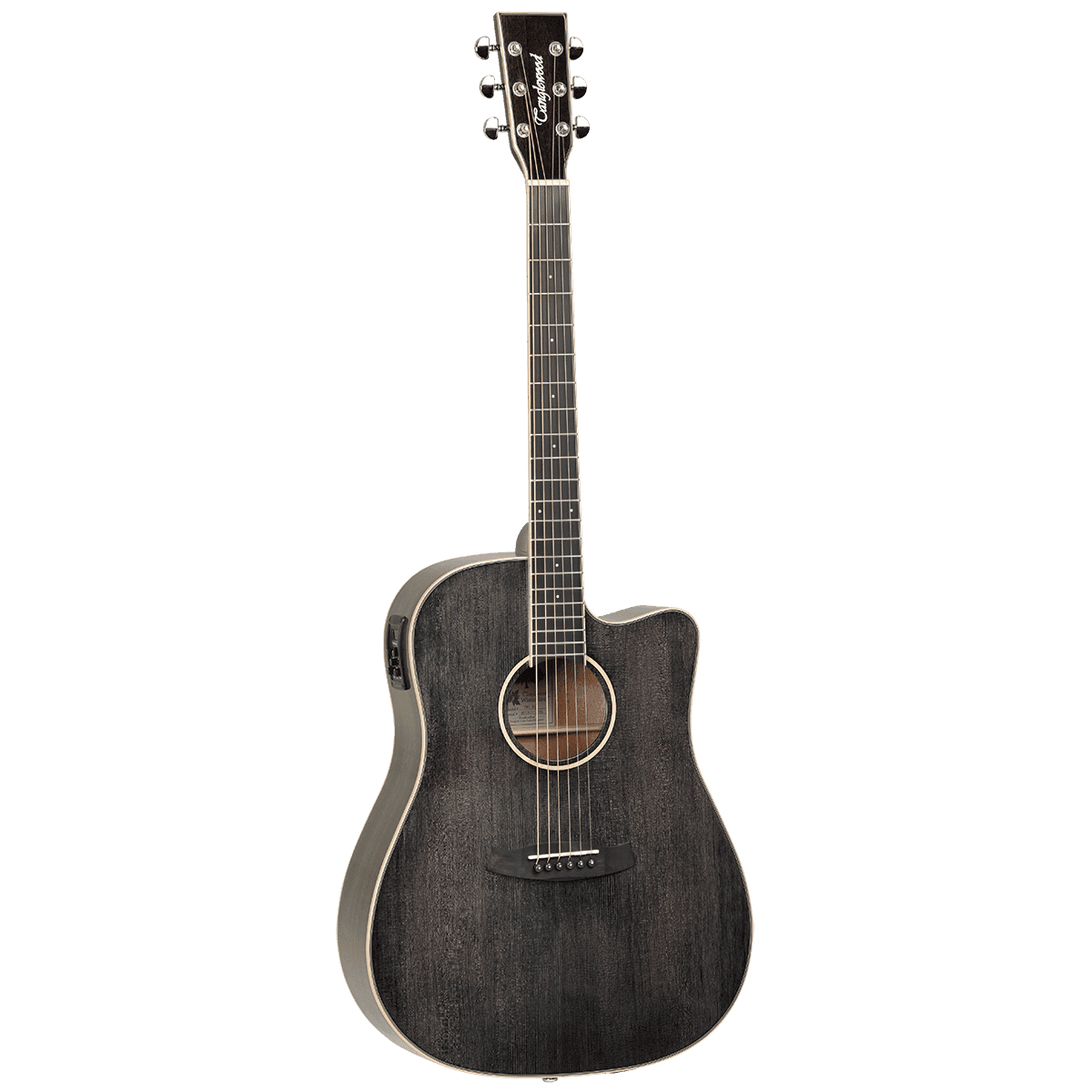 Tanglewood TW5BS Winterleaf Dreadnought C/E Black Shadow