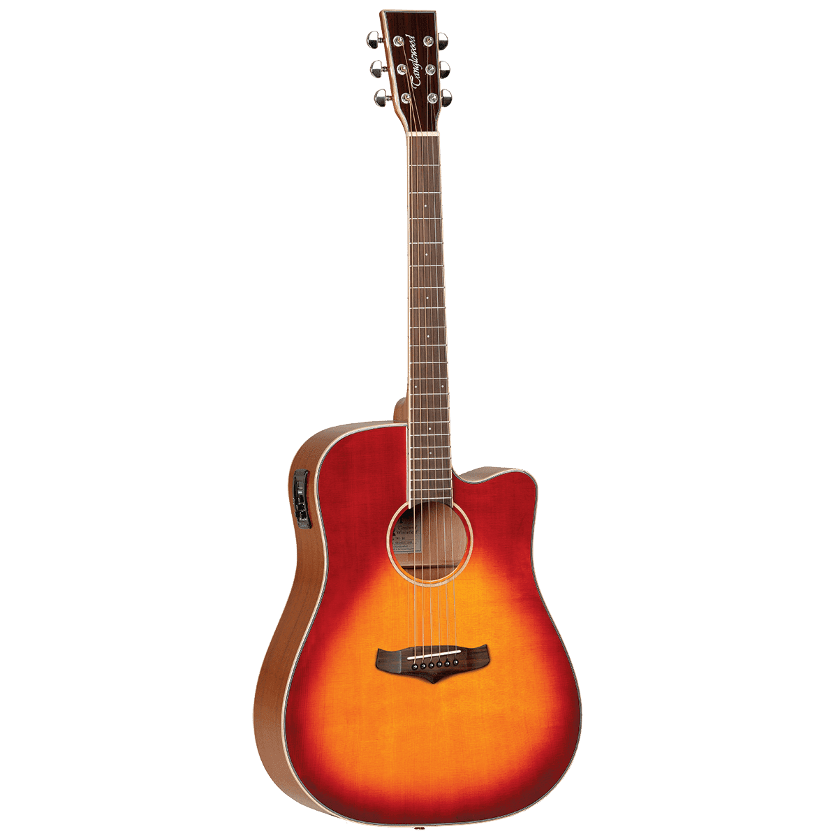 Acoustic/Electric Guitars Tanglewood Guitars GIG Guitars